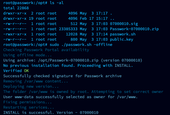 Ejecución exitosa del script sin conexión