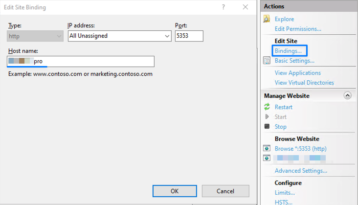 Set the assigned domain for Windows Server